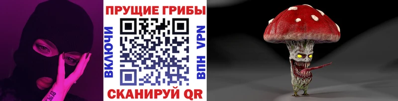 Галлюциногенные грибы Psilocybine cubensis Цивильск